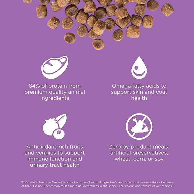 Go! Solutions Carnivore, Grain-Free, Protein Rich Dry Cat Food, Chicken, Turkey and Duck Recipe, 3 lb Bag-PurrikoPets