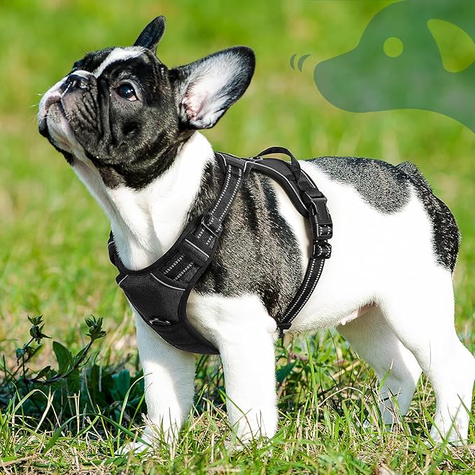Eagloo Dog Harness Small Sized Dog, No Pull Service Vest with Reflective Strips and Control Handle, Adjustable and Comfortable for Easy Walking, No Choke Pet Harness with 2 Metal Rings, Black, S-PurrikoPets