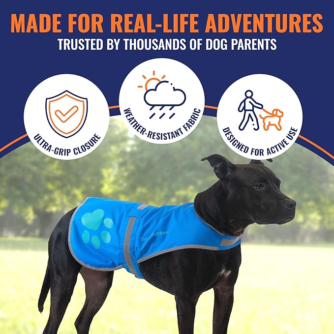 Dog Reflective Vest – Hi-Vis Fluorescent Visibility That Helps to Safeguard Your Pet On/Off Leash in Urban & Rural Areas (Blue, Large)-PurrikoPets