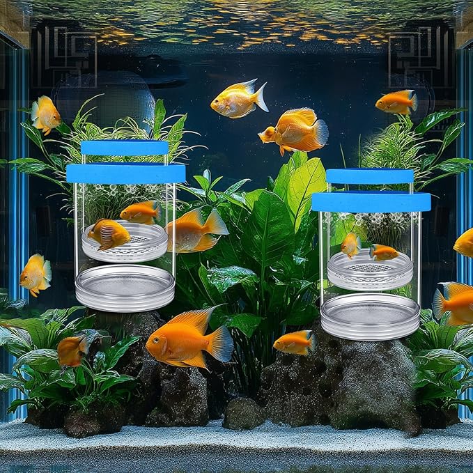 2 Pcs Breeder Box for Fish Tank Aquarium Breeder Separation Net Breeding Box with Suction Cup for Small Fish Shrimp Clownfish Guppy(Blue,L)-PurrikoPets