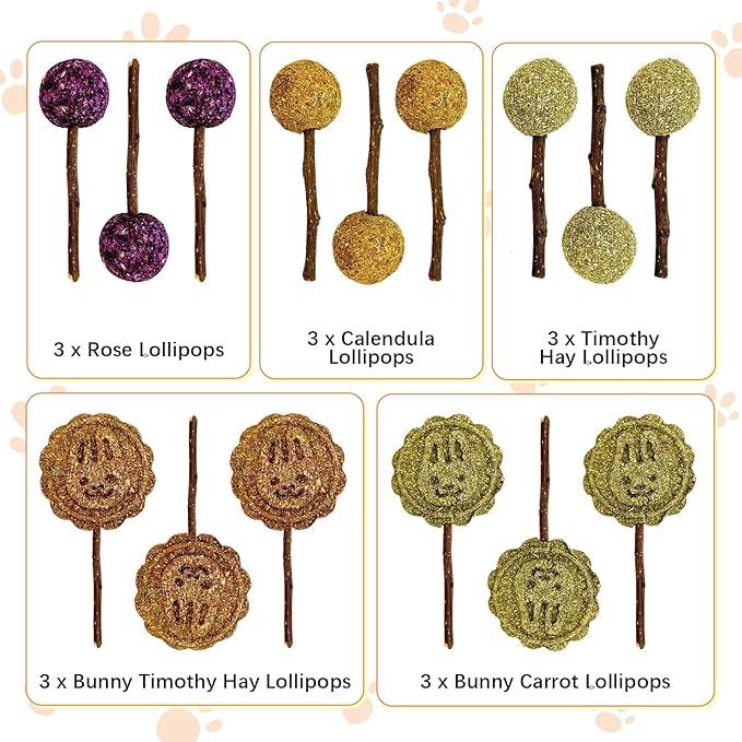 Fhiny Rabbit Chew Toys, 15 PCS Natural Bunny Lollipop Chew Sticks Handmade Guinea Pig Molar Treats for Teeth Small Animals Snacks for Guinea Pig Bunny Chinchilla Hamster Gerbil Teeth Care-PurrikoPets