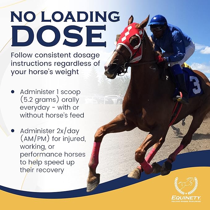 100-Day Supply Horse XL Supplements – Horse Care Weight Gain Supplement W/ 8 Amino Acids - No Soy or Sugar Coat Defense for Horses - Joint Supplement, Equine Supplies & Hoof Supplements-PurrikoPets