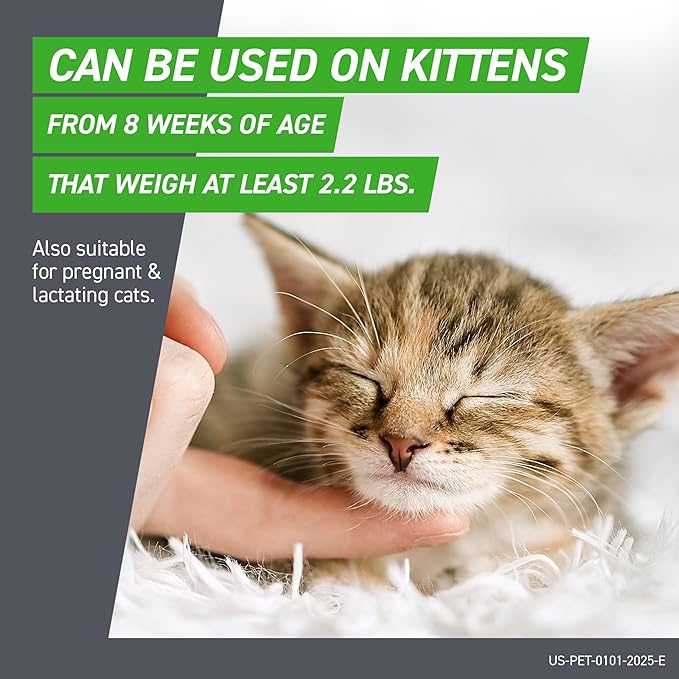 FRONTLINE Plus Flea and Tick Treatment for Cats Over 1.5 lbs. 6 Treatments-PurrikoPets