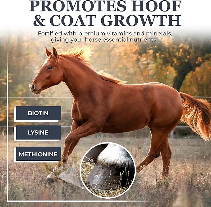 Equerry's Combined RX 4 Way | Equine Nutritional Support | Complete Formula | Digestive and Joint Support | Hoof & Hair | Probiotics Vitamins & Minerals 160 Feedings, 20lb.-PurrikoPets