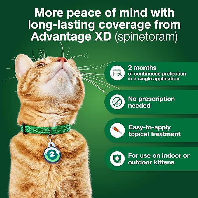 Advantage XD Large Cat Flea Prevention & Treatment For Cats over 9lbs. | 2-Topical Doses, 2-Months of Protection Per Dose-PurrikoPets