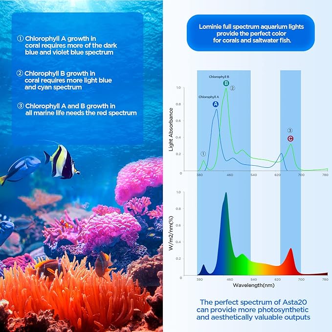 Full Spectrum Aquarium Light, Adjustable Saltwater Super Bright Fish Tank Light for Reef, Coral, Planted Nano Saltwater Aquarium Tank (A-20 Saltwater 16W)-PurrikoPets