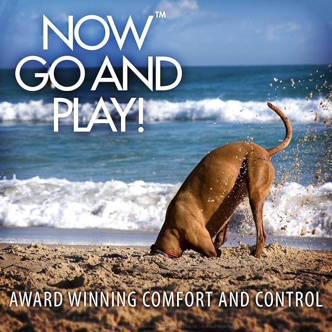 Ezydog Drive Dog Car Harness – Crash Tested and Certified (US-FMVSS 213) Dog Seat Belt Harness for Safe Travel, Adjustable with Padded Comfort (Medium)-PurrikoPets