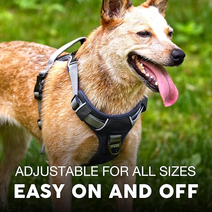 Embark Adventure Dog Harness, Reflective Trim No Pull Dog Harnesses for Small Sized Dogs - Military Grade Nylon, Front Clip with Gel Lined Handle. Soft & Padded Puppy Harnesses.-PurrikoPets