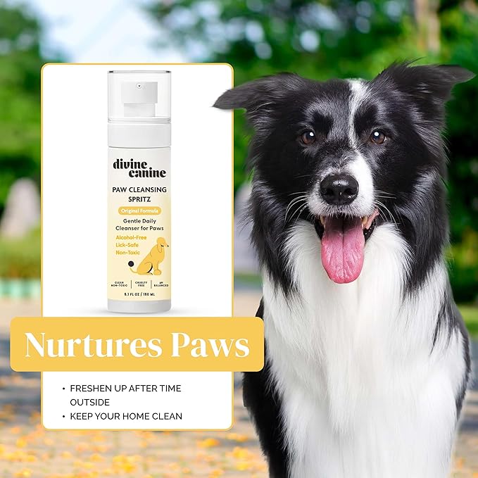 Dog Paw Cleaner - 5.1 Fl Oz of Alcohol Free Paw Cleansing Spray - Made with Aloe, Copaiba Oil, and Lemongrass Oil to Nourish and Clean Paws - Made in The USA-PurrikoPets