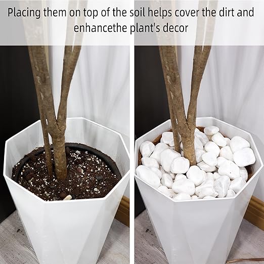 8LB 1"-2" White River Rocks for Plants, Polished Pebbles for Garden Landscaping, Planters, Aquariums, Vase Fillers – Indoor & Outdoor Decor-PurrikoPets