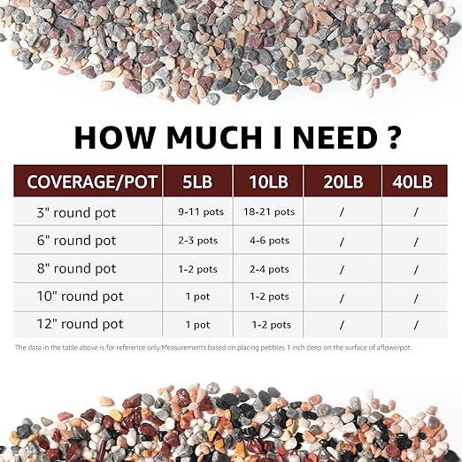 5lbs Natural Gravel Pebbles for Succulents and Cacti, 1/5 Inch Decorative River Stones – Perfect for Vases, Aquariums, Terrariums, and Outdoor Gardening, Mixed Colors (Mixed, 5 Pounds)-PurrikoPets