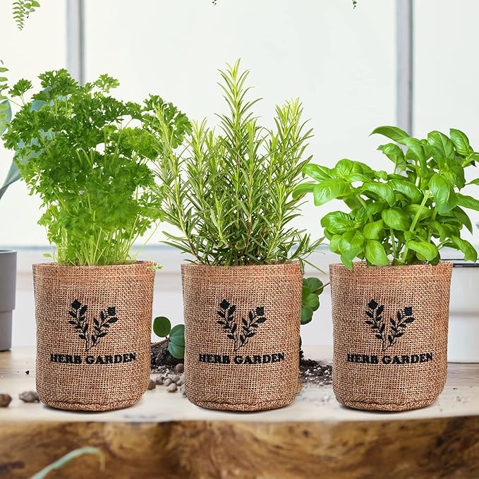 5 Herb Seeds Garden Starter Kit with Complete Planting Kit & Wooden Flower Box, Growing into Basil, Parsley, Rosemary, Thyme, Mint for Kitchen Windowsill Herb Garden DIY-PurrikoPets