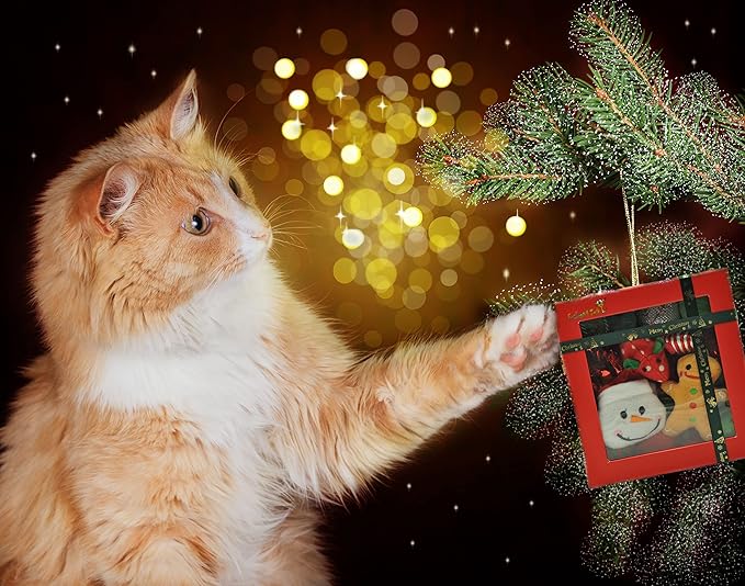 Fashion's Talk Holiday Festive Red Variety Pack Gift Box Cat Toy with Catnip, Box 20 Count-PurrikoPets