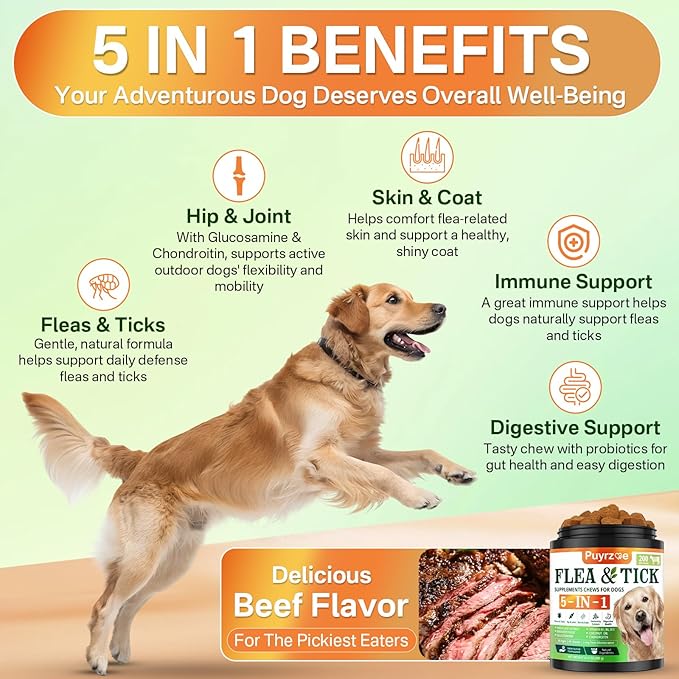 5-in-1 Dog Flea and Tick Treatment Chewable, Natural Flea and Tick Prevention for Dogs Chewable - Flea & Tick | Hip & Joint | Skin & Coat | Immunity Support | Digestive for All Breeds & Sizes-PurrikoPets