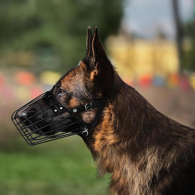 German Shepherd Dog Muzzle Metal Basket for Medium Large Dogs Adjustable Durable Leather Straps Secure Wire Mask for Biting Chewing Barking (Black, M - Size)-PurrikoPets