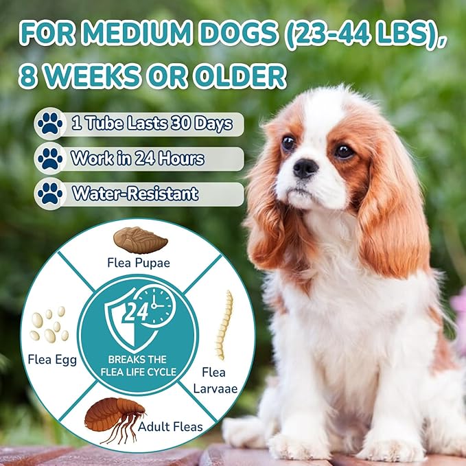 Flea and Tick Prevention for Dogs, 6-Month Supply Dog Flea and Tick Treatment Drops, Topical Fast-Acting Dog Treatment for Medium Dogs Up to 23 to 44 lbs-PurrikoPets