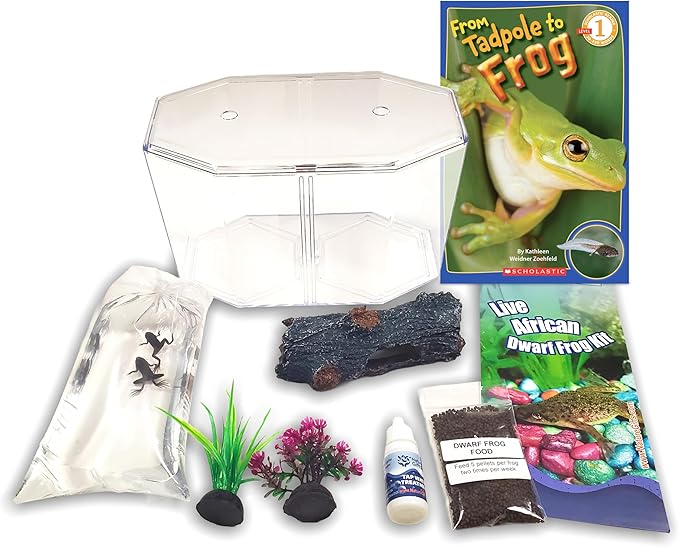 African Dwarf Frog Starter Kit- Includes Certificate for 2 Live Frogs- All-in-One Bundle with Book, Small Aquarium, Food, Instructions Now-PurrikoPets