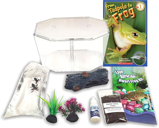 African Dwarf Frog Starter Kit- Includes Certificate for 2 Live Frogs- All-in-One Bundle with Book, Small Aquarium, Food, Instructions Now-PurrikoPets