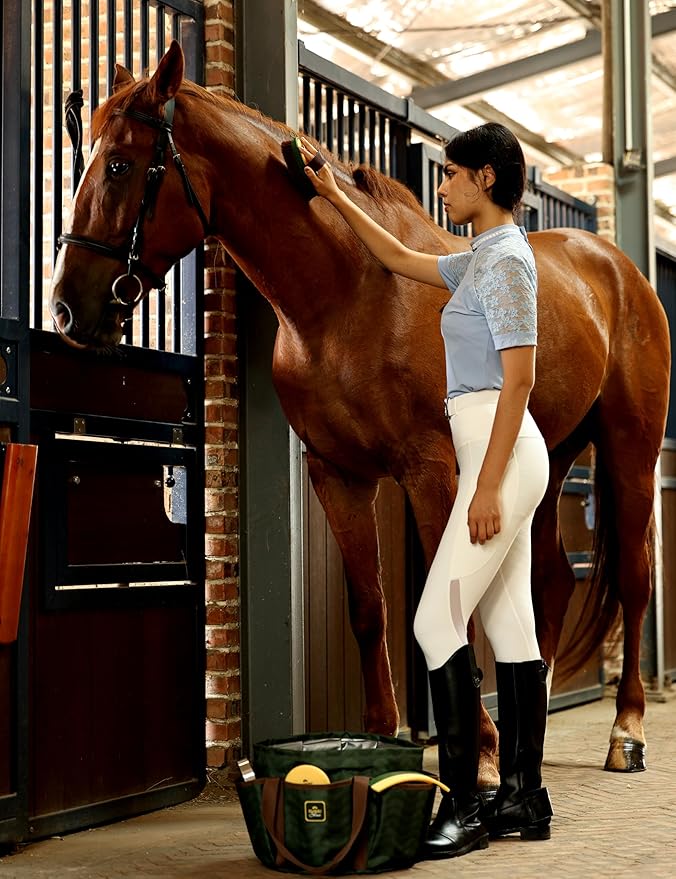 9PCS Horse Grooming Kit Curry Comb Sweat Scraper Horse Bathing Supplies Grooming Tools with Storage Bag Pasture Glow-PurrikoPets