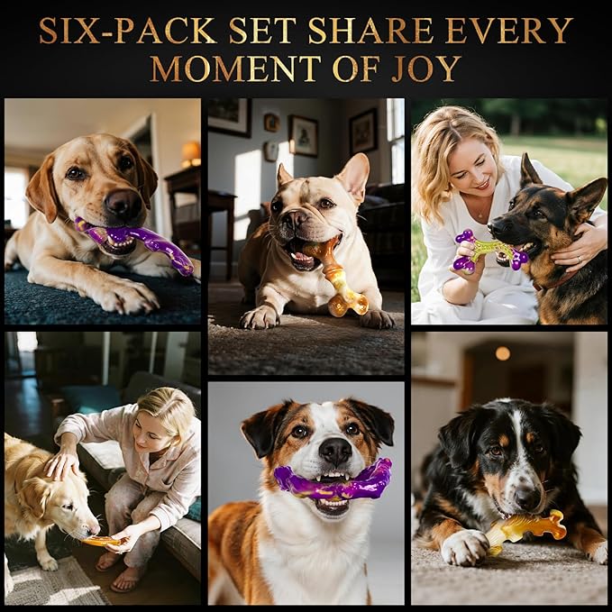 6 Pack Indestructible Dog Toys for Aggressive Chewers, Durable Nylon Bone for Large Dogs, Dog Toy for Aggressive Chewer Large Breed, A Mixed Special Edition Set-PurrikoPets