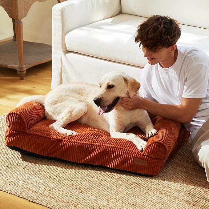FUKUMARU Cute Dog Bed, Fluffy Dogs Couch with TPU Layer Keeping Lining Dry, Pet Sofa Medium Size Dog Easy to Care, Warm Cat Bed with Removable Zipper Cover, 36inch, Large, Orange-PurrikoPets