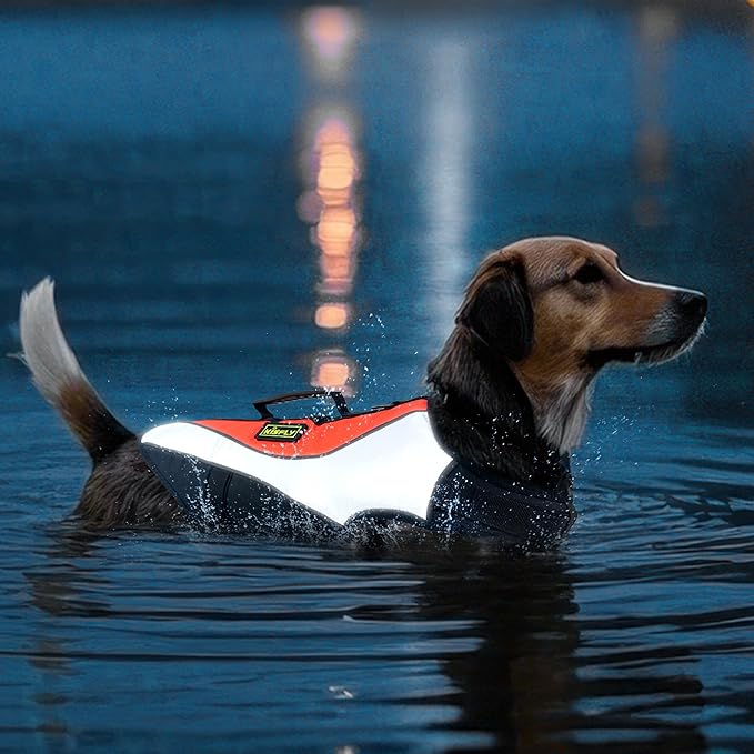 Adjustable Reflective Life Jacket for Medium Dogs - Buoyancy Swim Vest, Rescue Handle Dog Flotation Device, Beach Essentials, Dog Life Vests for Boating, Beach, Pool(M, Orange)-PurrikoPets