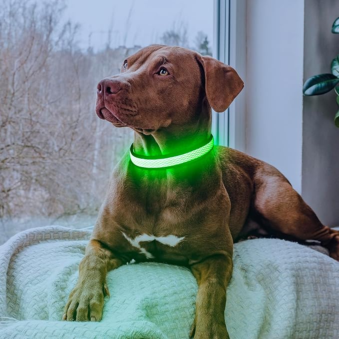 Flashseen LED Dog Collar, Light Up Dog Collar Lights USB Rechargeable, Adjustable Comfortable Soft Mesh Safety Collar for Small, Medium, Large Dogs(Large, Neon Green)-PurrikoPets