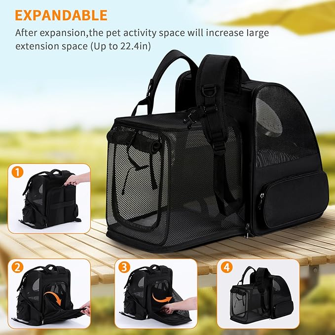 Expandable Pet Carrier Backpack with Transparent Bubble Window, Gray Mesh Travel Bag, Portable Space Capsule Design with Foldable Dogs Carrier for Pets (Black)-PurrikoPets