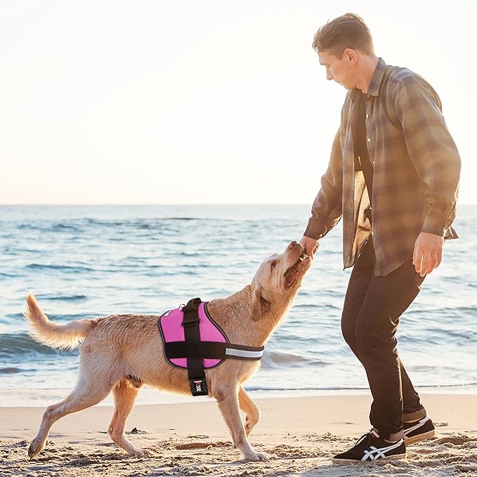 Dogline Dog Harness, Reflective No-Pull Adjustable Vest with Handle for Walking, Training, Breathable, No - Choke Harness for Small, Medium or Large Dogs Room for Patches Girth 33"-46" in Pink-PurrikoPets