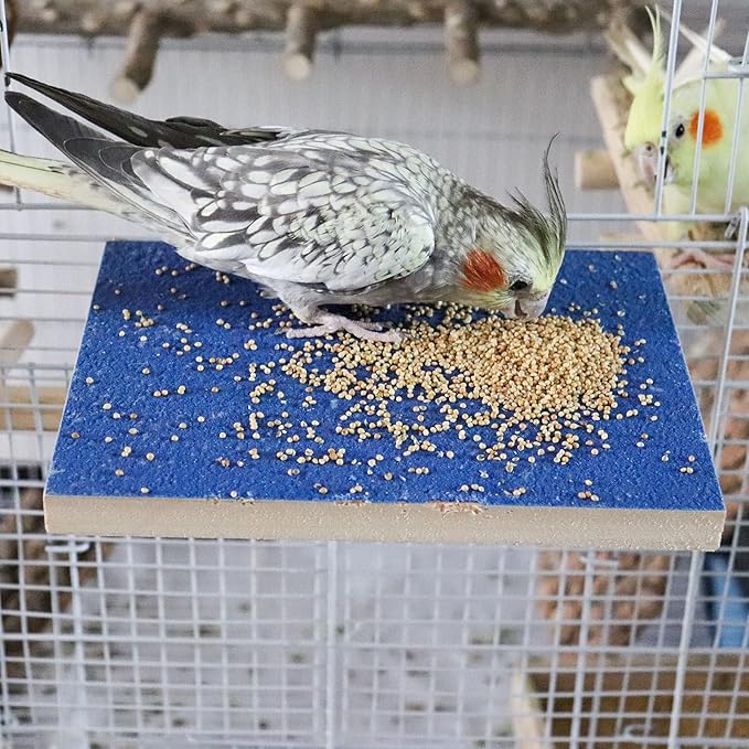 7.9×5.9 Inches Large Bird Perch Stand Platform, Natural Wooden Bird Cage Accessories, Bird Stand Perch with Rough Quartz Sand Surface for Parrot, Parakeet, Budgies, Cockatiel, Rats-PurrikoPets