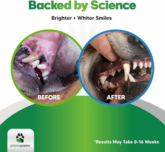 Dog Teeth Cleaning Powder - Plaque and Tartar Remover - Dental Powder with Bactase PET - Breath Freshener for Overall Dental Care - Supports Mouth, Teeth, and Gum Health for All Ages and Sizes-PurrikoPets