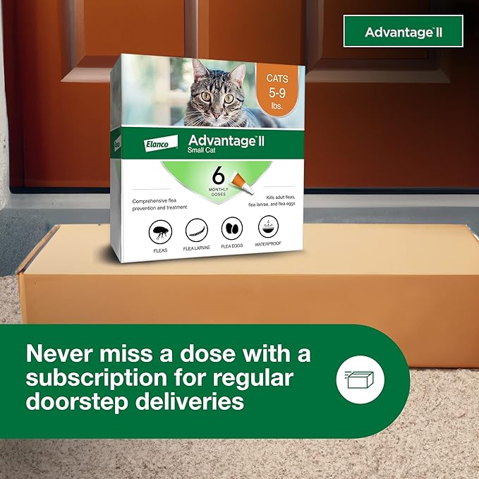 Advantage II Small Cat Vet-Recommended Flea Treatment & Prevention | Cats 5-9 lbs. | 6-Month Supply-PurrikoPets