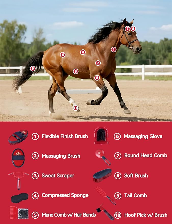11PCS Horse Grooming Kit Curry Comb Sweat Scraper Horse Bathing Supplies Grooming Tools with Storage Bag Shadowberry-PurrikoPets