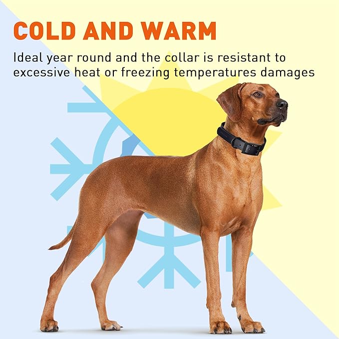 Dogline Biothane Waterproof Dog Collar Strong Coated Nylon Webbing with Black Hardware Odor- Proof for Easy Care Easy to Clean High Performance Fits Small Medium or Large Dogs, Cherry Red-PurrikoPets