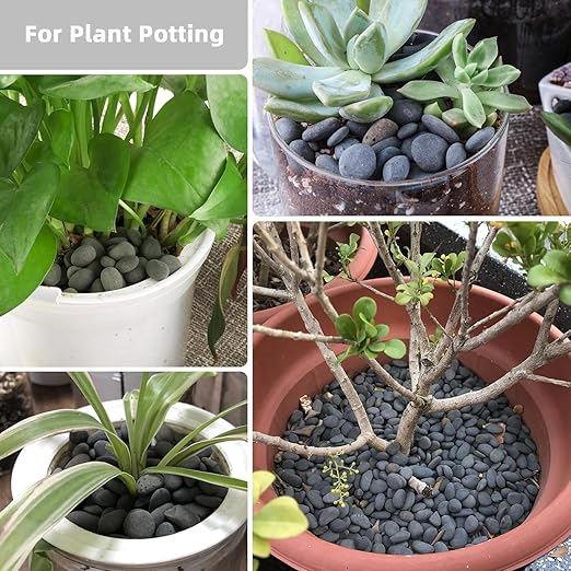 45lb River Rocks Pebbles for Plants & Succulents, Decorative Outdoor Landscaping Garden Rocks, Natural Small Mexican Beach Pebbles Aquarium Rocks Gravel for Fish Tanks Vase Yard Decor-PurrikoPets