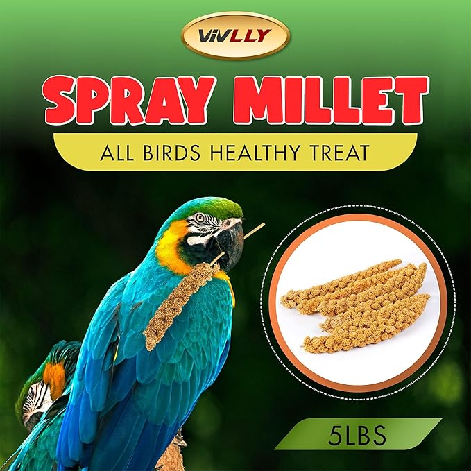 5LBS GMO-Free Sun Dried Spray Millet - Original Bird Treat Millet for Parakeets, Cockatiels, Finches & More - Non-GMO, High in Amino Acids, Easy Storage, Tasty & Healthy Bird Snacks (5 lbs)-PurrikoPets