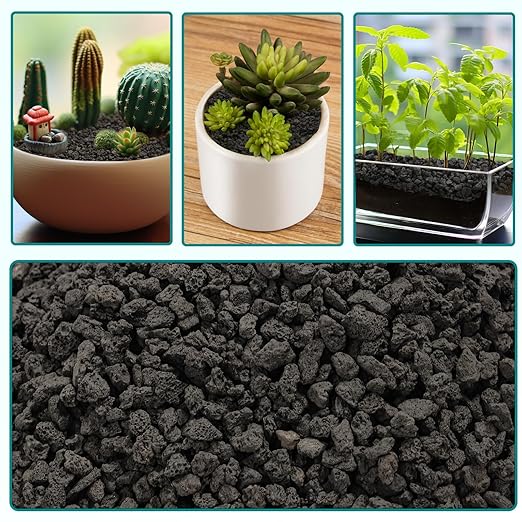 5lbs Small Lava Rocks for Plants Drainage, 1/5 Inch Black Gravel Mulch for House Plants, Succulent Rocks Pebbles for Planters,Cactus, Bonsai Tree, Pure Volcanic Rocks, Top-Dressing-PurrikoPets