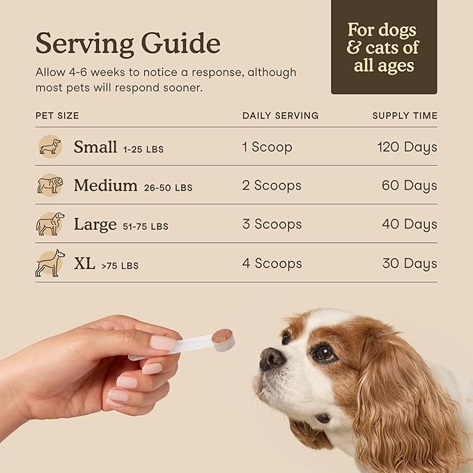 Fera Pets Mushroom Supplement for Dogs & Cats with Turkey Tail - USDA Organic - Cognitive and Immune Support - Enhances Liver Function - Supports a Healthy Gut - Powder - 120 Scoops-PurrikoPets