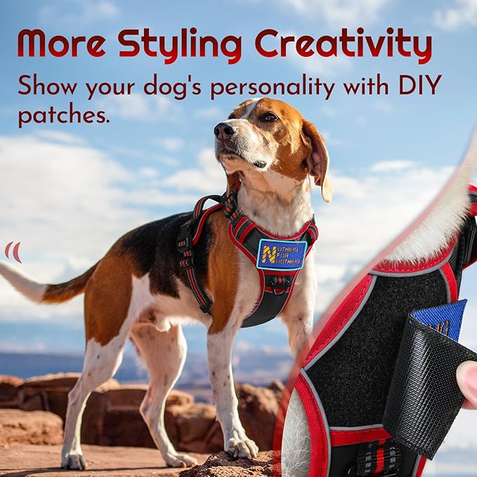 Eagloo Dog Harness Small Sized, Easy Wearing with 3 Buckles, Adjustable No Pull Pet Harness with 2 Rings for Walking, No Chock Reflective Soft Padded Vest with Control Handle, Black & Red, S-PurrikoPets