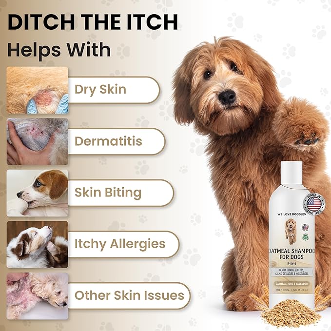 5-in-1 Premium Oatmeal Shampoo for Dogs, Gentle for Itchy & Sensitive Skin, Provides Itch Relief, Hypoallergenic & Soothing for Dry Skin, Moisturizing Anti-Itch, Made in USA, 16 oz [We Love Doodles]-PurrikoPets