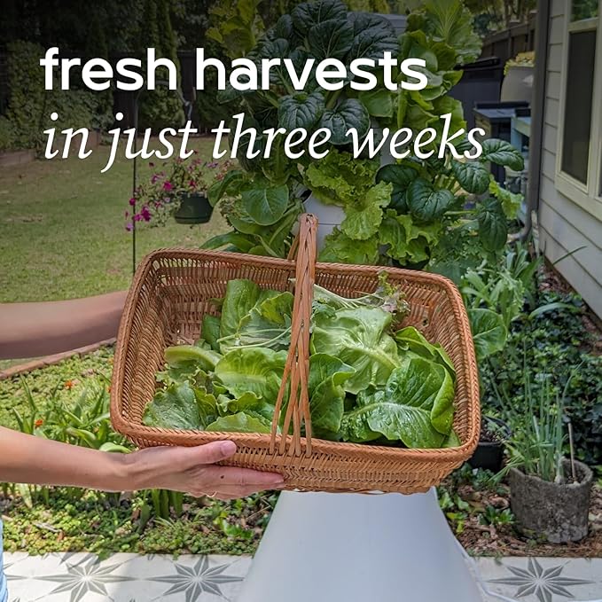 Farmstand Starter Kit + 12 Seedling Credits | Tiny Hydroponic Growing System Kit | Self-Watering Outdoor Vertical Garden Planter Tower | 3ft 8in | Made in USA-PurrikoPets