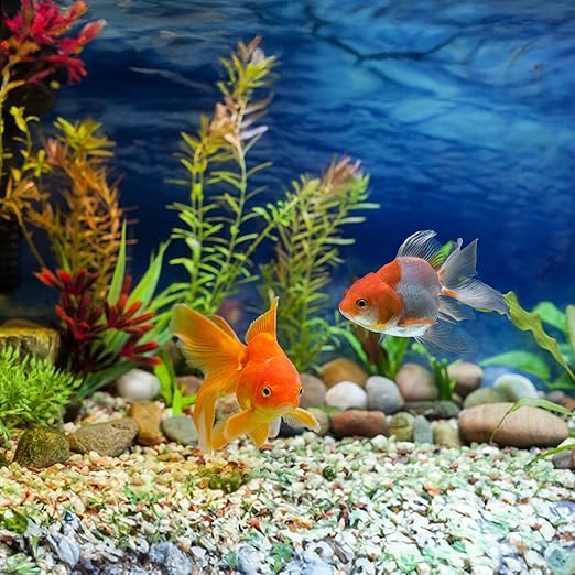 40lbs White River Rocks for Landscaping, 3-4 Inch Large Natural Unpolished Bulk Pebbles, Hand-Picked Premium Stones for Garden Design Fish Tank, Pathways and Backyard-PurrikoPets