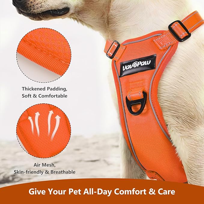 Dog Seat Belt Harness for Car, Dog Car Harness Adjustable Mesh Breathable & Dogs Seatbelt Safety Tether with Elastic Bungee for Small Medium Large Pets(Orange, M)-PurrikoPets