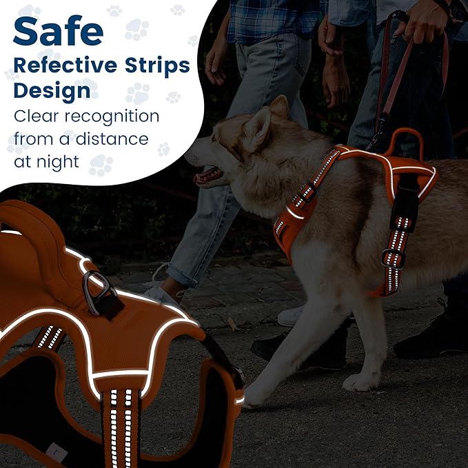 Funfox Dog Harness No Pull, Adjustable Pet Vest Harness, Super Soft Material with Vertical Handle Easy Control, Reflective Night Walking, 2 Leash Clips for Medium Sized Dogs, Orange, M-PurrikoPets