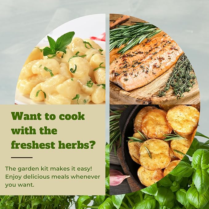 10 Indoor Herb Garden Kit- Burlap Pots, Organic Seeds, Herb Garden Planter Indoor Kit, Easy Window & Kitchen Herbs Growing Kit, Cilantro, Basil, Sage, Oregano, Parsley, Dill, Chives etc.-PurrikoPets