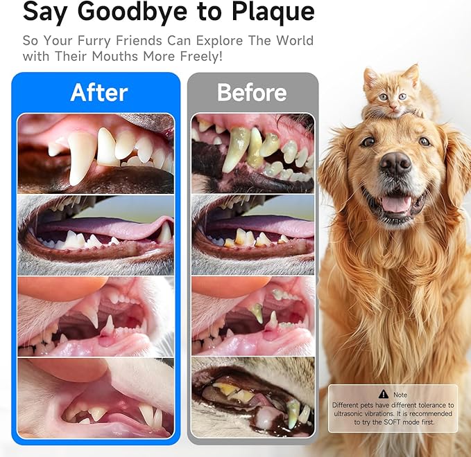 Electric Dog Plaque & Tartar Remover - Pet Teeth Cleaning Kit with LED Light, 5 Adjustable Modes, Safe and Low Noise – Easy Home Dental Care for Dogs and Cats-PurrikoPets