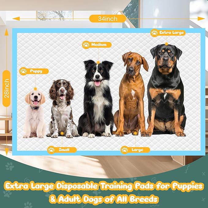 Extra Large Puppy Pads 28" x 34"-30 Count, Super Absorbent Dog Pee Pads Quick Drying Leak-Proof X-Large Dog Training Pads Disposable Training Pads for Dogs Puppies Cats-PurrikoPets