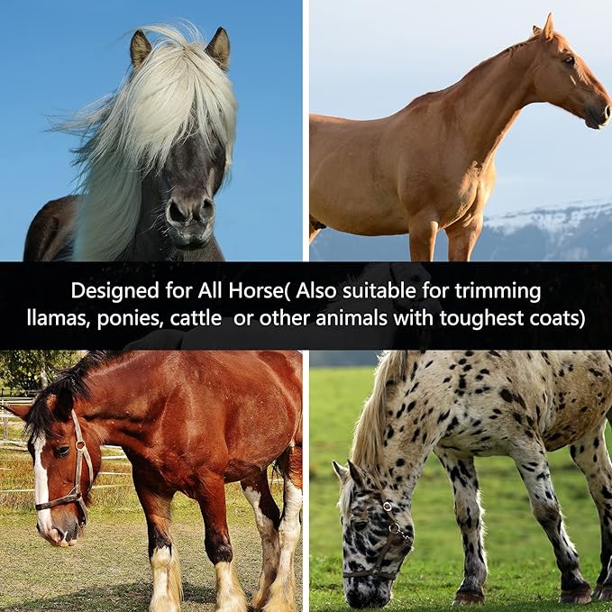 DUCKBOY Heavy Duty Clippers for Thick Coats Animals, 500W Professional Electric Shearing Machine for Horse Pony Cattle and Large Dogs Livestocks Grooming, 6 Speed & 2 Detachable Shearing Blades-PurrikoPets