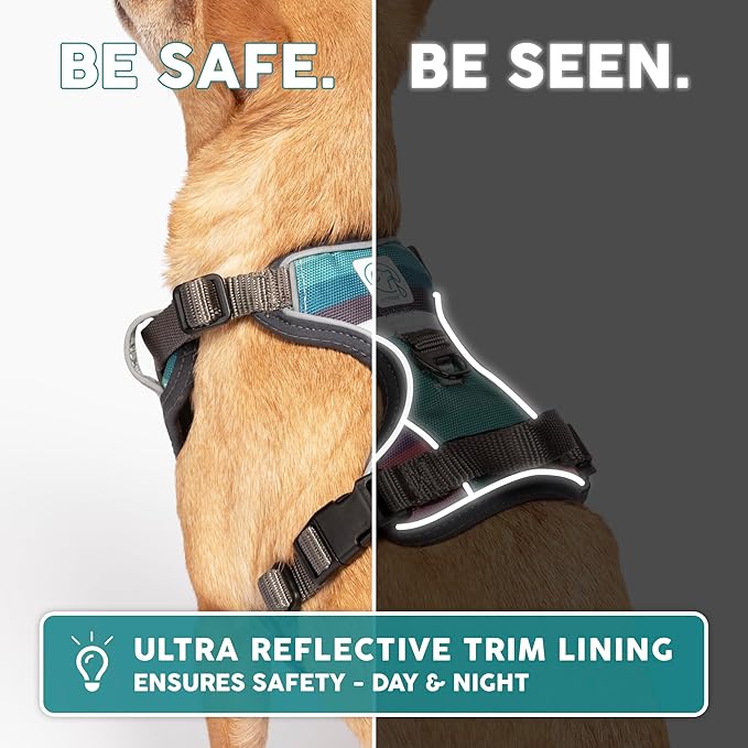 Embark Adventure Dog Harness, Reflective Trim XL Dog Harness for Extra Large Dogs No Pull - Military Grade Nylon, 2 Leash Clips & Gel Lined Handle. Soft & Padded Puppy Dog Harnesses for Any Breed-PurrikoPets