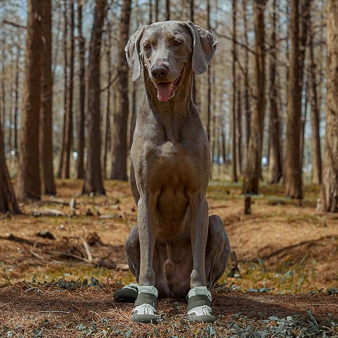 Dog Shoes Winter Snow Boots for Large Size Medium Dogs Reflective Anti-Slip Paw Protectors for Rain Booties Hot Pavement Hardwood Floors Running Water-Resistant Dog Shoes (Green, 4# (S))-PurrikoPets